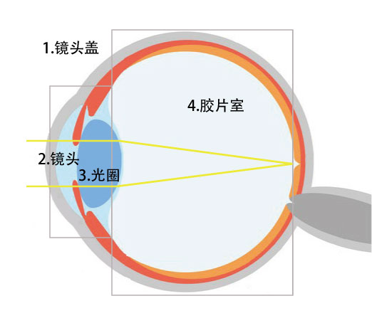 Vol.3 人如何视物