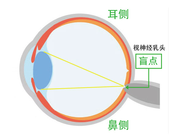 盲点调查方法“马里奥特 = 波义耳定律”